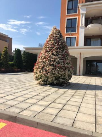 Apartment In Prestige Fort Beach Sveti Vlas Bagian luar foto